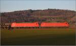 185 113 und 185 097 in Hendschiken.