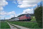 Die SBB Re 4/4 II 11130 ist kurz vor Bietingen mit ein IC auf dem Weg nach Singen.
