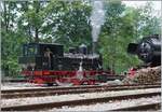 Die 1915 von SLM Winterthur unter der Fabriknummer 2538 gebaute E 3/3 N° 5  Rhône  für die Alusuisse Sierre -Chippis wurde von der C.F.T.V.P.
