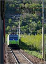 Kurz nach der Abfahrt von Domodossola begegnet unserm IR nach Brig diese von zwei BLS Re 482 gef�hrte RoLa von Freiburg (i.B.) nach Novara.