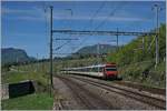 Im Verkehr nach Frankreich sind für den  TGV-Anschluss  in Frasne noch einige RBDe 562 in  Kolibri -NPZ Farbgebung unterwegs.
