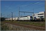 Die Rail Care Rem 476 453-6 VAUD (UIC 91 85 4476 43-6 CH-RLC) hat ihren Coop Zug von Genève la Praille nach Vufflens la Ville gebracht, gleichzeitig brachte eine gut getarnte  Rangierlok  die