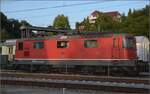 Unlängst noch im Einsatz vor den Gäubahn IC 4 bis nach Singen, die ehemalige Swissexpresslok Re 4/4 II 11141 ist nicht über Los gegangen, sondern direkt zur DSF.