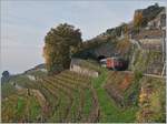 Auf den ersten Blick zu früh abgedrückt, auf den zweiten entdeckt man dann hinter den Baum noch den letzten Wagen dieses acht Wagen umfassenden Fussballfan Zuges, welcher die SBB Re 4/4 II