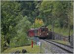Die BOB HGe 3/3 29 der Blonay-Chamby Bahn ist bei Vers-Chez Robert auf dem Weg nach Chamby.
