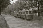 Die ehemalige Tramlinie 1 in Bern im Raum Brückfeld: Tramzug mit Motorwagen 146 und Anhänger 223 beim Engeried kurz vor der Endstation Brückfeld.