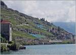 Ein ungewohnter Gast: ein vierteiliger SBB RABe 502 ist zwischen St-Saphorin und Rivaz auf dem Weg nach Lausanne.