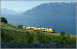 Der  Train des Vigens  in den Weinreben bei Chexbres.