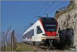 Eine Stunde später ist der SBB RABe 523 028-4 (RABe 523 94 85 0 523 028-4 CH-SBB) erneut  als R7 auf der Train des Vignes Strecke kurz nach dem Salanfe Tunnel auf dem Weg nach Puidoux. 

16. Nov. 2024