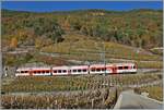 Ein TMR Region Alpes RABe 525 in den noch überraschend bunten Weinreben bei Bovernier     6.