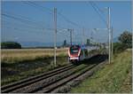 Der SBB LEx RABe 522 229 ist als SL5 bei Bourdigny auf dem Weg von Genève nach La Plaine.