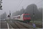 Während im 787 müM gelegenen Le Day eitel Sonnenschien herrschte, lag das 1008 müM gelegene Le Pont im Vallée de Joux in dichtem Nebel, die Ursache liegt wohl in der Muldenlage und