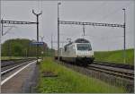 Die BLS Re 465 465 015 (UIC N°: 91 85 4465 015 6)  CAT'S EYE  hat ihr Ziel Vufflens la Ville erreicht.