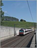 Ein SBB Domino ist als R13 von Yverdon nach Biel/Bienne unterwegs und hat soeben den Halt Concise verlassen. Die hier zu sehende Doppelspurige Streckenführung löste am 20. April 2001 die ursprüngliche Einspurstrecke von 7. Nov. 1859 ab. 

5. Juli 2025