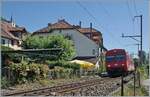 Auf dem Weg in Richtung Bahnhof von Ligerz wurde ich von diesem CJ Pendelzug überrascht. Ich vermute er ist auf dem Weg zum Unterhalt nach Yverdon oder Bulle. 

11. Juli 2025