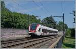 In Concise auszusteigen hat den Vorteil, dass man recht schnell an der Strecke 210 zu interessanten Fotostelle kommt, wie hier westlich des Bahnhofes zu sehen. Im Bild der SBB RABe 522 207 als R13 von Yverdon nach Biel/Bienne. 

5. Juli 2025