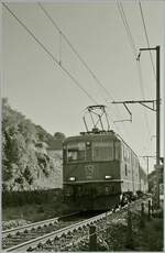 Infolge Gegenlicht in S/W: die SBB Re 4/4 II 11153 ist mit einem (hier nicht zu sehenden NPZ Steuerwagen) vermutlich auf dem Weg nach Yverdon. 

11. Juli 2025   