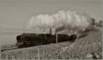 Zwischen Bossi�re und Grandvaux ziehen die SNCF 241-A-65 und eine weitere mit scheinbarer Leichtigkeit ihren Extrazug durchs Lavaux hinauf.