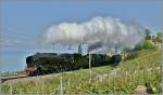 Zwischen Bossi�re und Grandvaux ziehen die SNCF 241-A-65 und eine weitere mit scheinbarer Leichtigkeit ihren Extrazug durchs Lavaux hinauf.