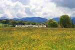 Die Broyetallinie: Domino-Zug mit Triebwagen 560 238 zwischen Palézieux Village und Palézieux.