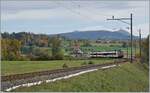 In Palézieux von der  Hauptstrecke  Lausanne - Bern abgezweigt, fährt der SBB Domino in weiten Schleifen in Broyetal und wird in Kürze den Halt Palézieux Village erreichen. 

22. Okt 2020 