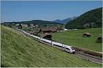 Ein DB ICE 4 ist als ICE 376 von Interlaken Ost nach Hamburg unterwegs und erreicht in Kèrze Spiez.