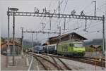 In Zweisimmen, an der abgestellten MOB Ge 4/4 8001, schiebt die BLS Re 465 014 ihren GPX nun in Richtung Interlaken Ost. 

13. Oktober 2025