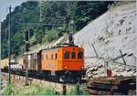 Als Ergänzung zu Ollis Bildern des BLS Te 2/3 31, einige Bilder aus der Einsatzzeit des BLS Te 215 031-6: der Te 215 031-6 beim Manöver in Hohtenn.