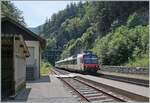 Ein SBB RBDe 560  Domino  hat den 3700 Meter langen Weissensteintunnel verlassen und erreicht nun die auf dem Gemeindegebiet von Crémines gelegene Station Gänsbrunnen.