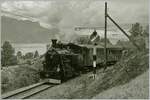 Die Blonay-Chamby Bahn HG 3/4 N°3 ist mit Reisezug kurz nach Blonay auf dem Weg nach Chaulin.