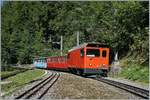 Aus Anlass des Jubiläums 125 Jahre Rocheres de Naye Bahn bietet die Zahnradbahn z.Z.