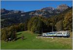 Der ASD BCFe 4/4 N� 1 und der BDe 4/4 N� 2 mit einem Extrazug nach Aigle, kurz nach Le S�pey.