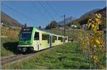 Der TPC ASD ABe 4/8 472 ist in den Weinbergen oberhalb von Aigle auf dem Weg nach Aigle.