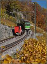 Der A-L Regionalzug 245 von Leysin nach Aigle erreicht den kleinen Bahnhof Fontanney.