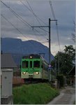 Der AOMC Regionalug 19 mit dem BDeh 4/4 501 erreicht Ollon.
