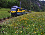 Steuerwagen 433 mit Triebwagen 324 zwischen Schwendi und Burglauenen.