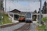 In Winteregg kreuzen sich der neue Be 4/6 101  Eiger  auf der Fahrt nach Mürren und der Be 4/4 31  Lisi  unterwegs von Mürren nach der Grütschalp .

8. August 2024