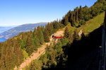 Schynige Platte Bahn: Lok 20 mit den Wagen 45 und 46 im Abstieg unterhalb der Schynigen Platte.