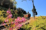 Schynige Platte Bahn: Lok 14 im Aufstieg unterhalb Breitlauenen.