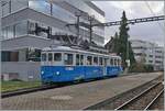 Der AVA BDWM BDe 4/4 10  Mutschälle-Zähni  (SWS/MFO 1928) erreicht als Fondue Tram im Rahmen des Weihnachtmarktes von Bremgarten den Bahnhof von Bremgarten. 

6. Dez. 2024