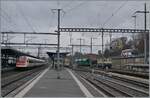 Blick auf den Bahnhof von Morges mit einen SBB RABe 500 ICN nach Rorschach, einem BAM MBC Regionalzug nach Biere und der IRSI Re 4/4 II 11387 (Re 421 387-2) die z.Z. im Dienste der BAM MBC stehet.

22. Februar 2024