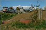 Ein RABe 511 als RE Romont - Gen�ve bei Oron.