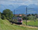 RABe 511 033 als S3 zur Hardbrücke.