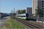 Die durch die baubedingte, mehrmonatige Streckensperre zwischen Neuchâtel und La Chaux de Fond nicht mehr benötigten von der TransN gemieteten SBB RABe 523 verkehren teilweise im