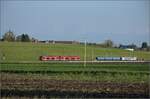 Auf der Biel-Täuffelen-Ins Bahn.