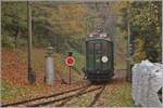 La DER de la Saison / Das Saison Ende der Blonay Chamby Bahn 2025 - Seit einigen Jahren zeigt die Blonay Chamby Bahn zum Saison Ende mit einem verdichteten Fahrplan noch einmal ihre herrlichen
