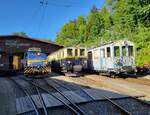 Autour de la voie ferrée / Rund um die eiserne Bahn (Herbstevent 2024) - Eine Überraschung - das  Alignement  mit der MOB Gm 4/4 2004, dem MOB FZe 6/6 2002 (heute B-C) und dem MOB BCFe 4/4 N° 11 (heute B-C) in Chaulin. bei bestem Spätnachmittagslicht. 
 
7. Sept. 2024