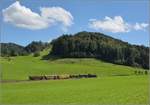 Vorbeifahrt der Eb 3/5 9 der Bodensee-Toggenburg-Bahn mit ihrem wunderbaren Personenzug an Hofschür.